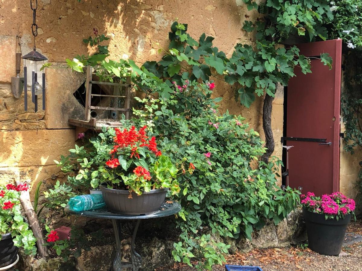 Chambres D'Hotes Les Coustilles Saint-Alvère Exterior foto